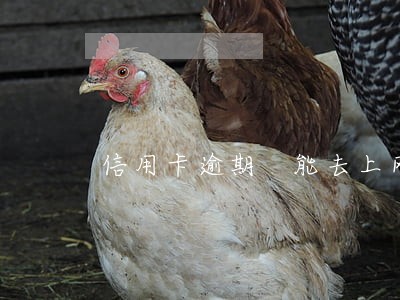 信用卡逾期 能去上网吗